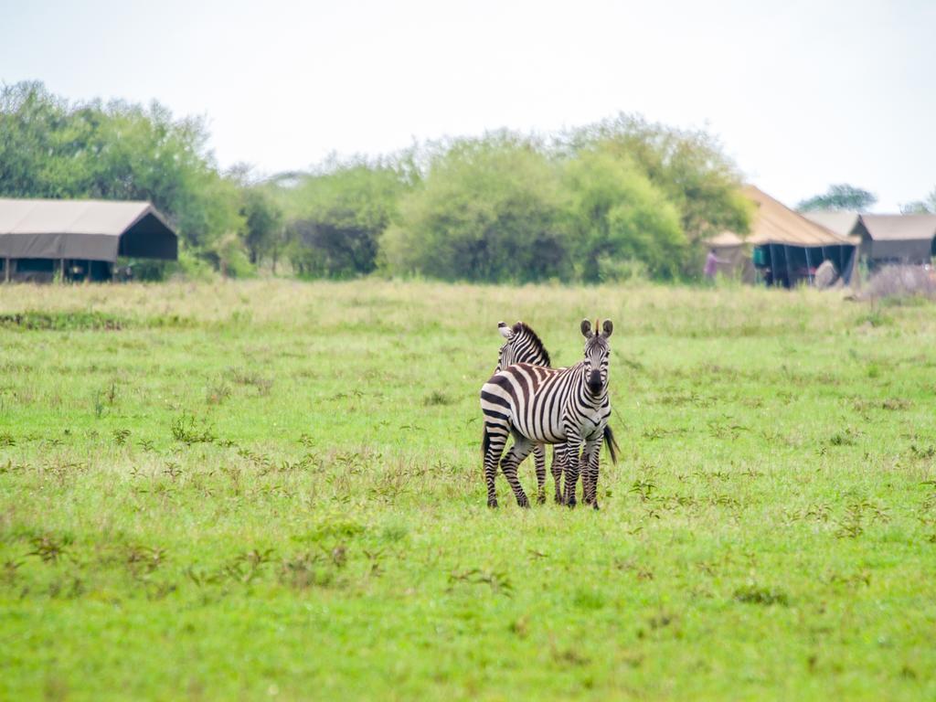 Kananga Special Tented Camp Banagi Eksteriør bilde